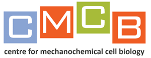 CMCB