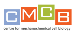 CMCB
