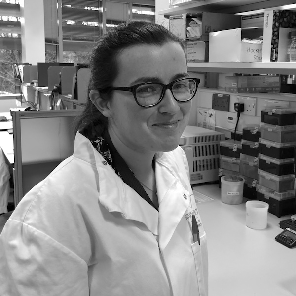 
        LAURA DOWNIE
				I am a postdoc interested in mitosis and I am looking at chromosome missegregation during cell division. Previously, I was a PhD student on the BBSRC-funded Midlands Integrative Biosciences Training Partnership (MIBTP) programme and did my PhD in the Royle lab.
        Before this, I have received BSc Molecular & Cellular Biology (with Biotechnology) from the University of Glasgow, completing an investigation into cellular response to surface topography in my final year. I then continued study at the University of Glasgow, completing a Master of Research degree, during which I investigated the possible interaction of a cell cycle regulator with a structural protein in fission yeast cytokinesis, and also the potential of specific stickleback populations as evolutionary mutant models of diabetes.

        ORCiD: <a href='https://orcid.org/0000-0001-9039-942X'>0000-0001-9039-942X</a>