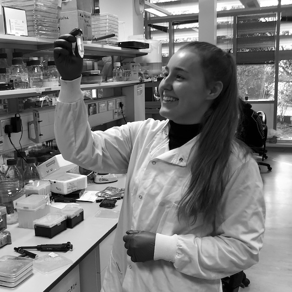 
        PEYTON EWBANK
        My project is to characterise vesicle populations in different cellular contexts using proteomics.

        I am studying for an MSc by Research at Warwick Medical School.